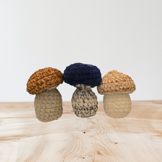 Crochet : Mushroom Medium