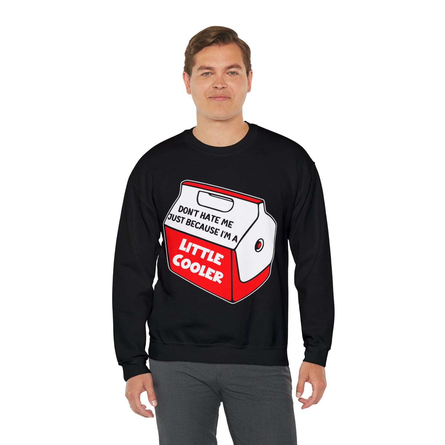 Don't Hate Me Because I'm A Little Cooler: Unisex Heavy Blend™ Crewneck Sweatshirt