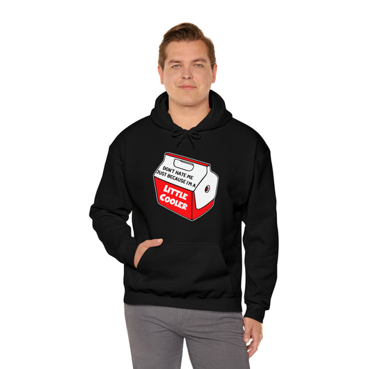 Don't Hate Me Because I'm A Little Cooler: Unisex Heavy Blend™ Hooded Sweatshirt