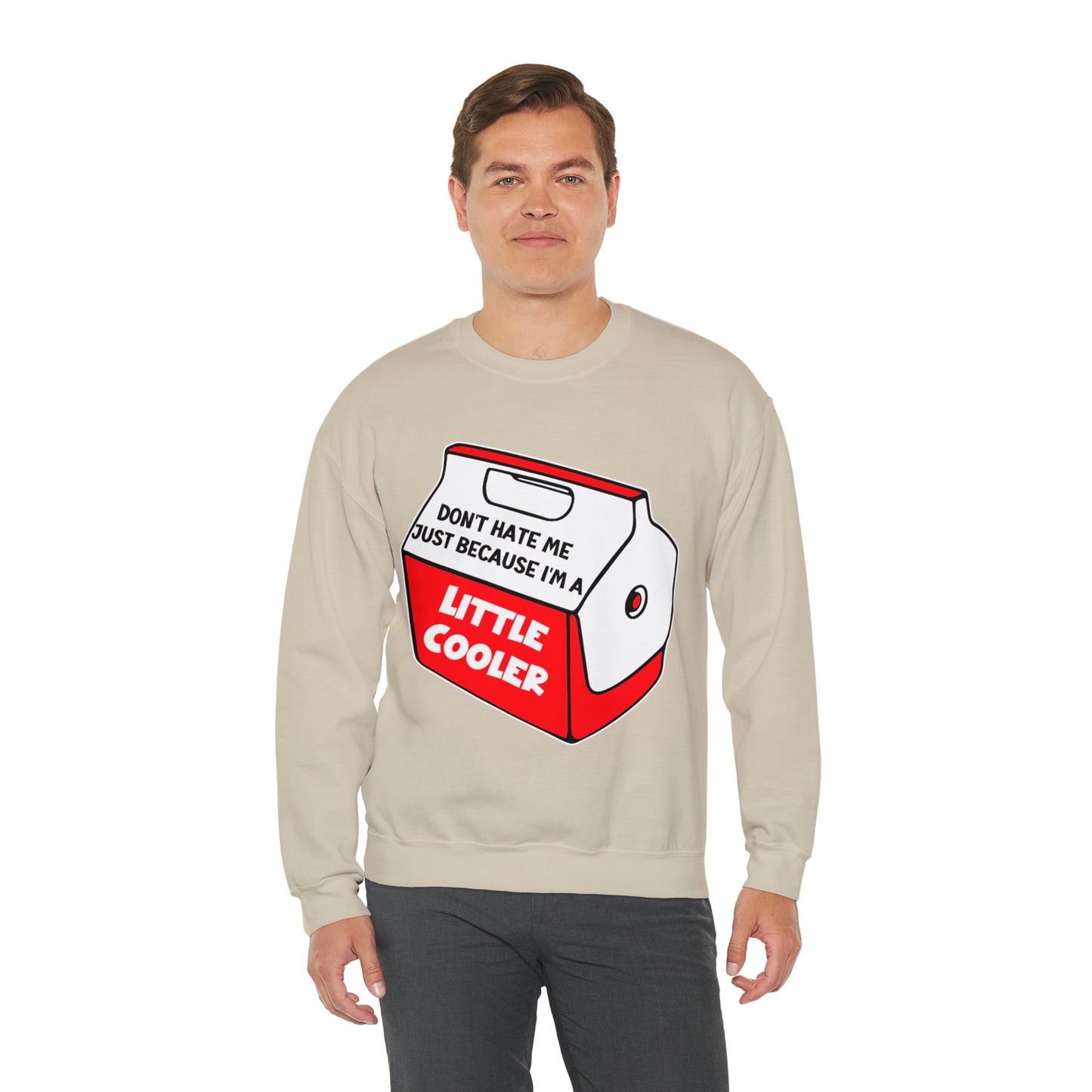 Don't Hate Me Because I'm A Little Cooler: Unisex Heavy Blend™ Crewneck Sweatshirt