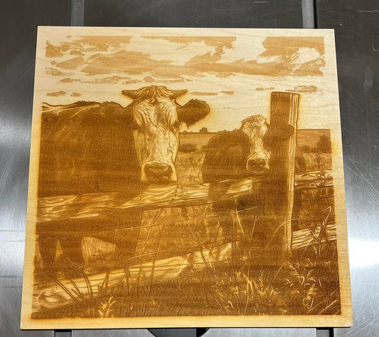 Laser Picture- Cows